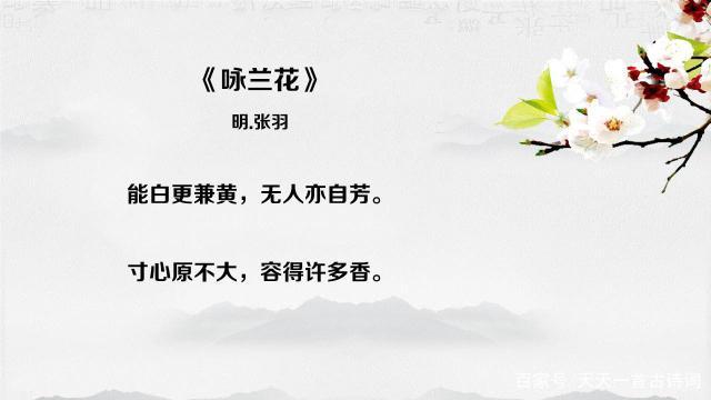 咏兰花