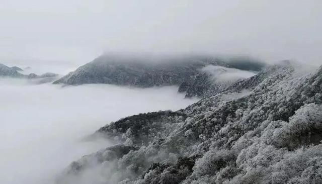 这些雪景图实在太美了!你那边下雪没?