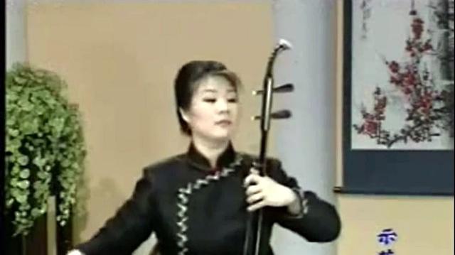 田园春色 二胡独奏