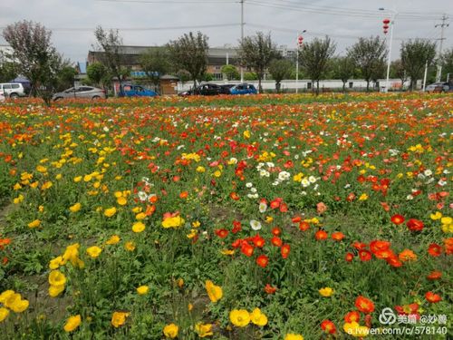 郫县唐昌镇外文三路(郫县三中)对面,有个叫"花田人家"的农家乐,面积