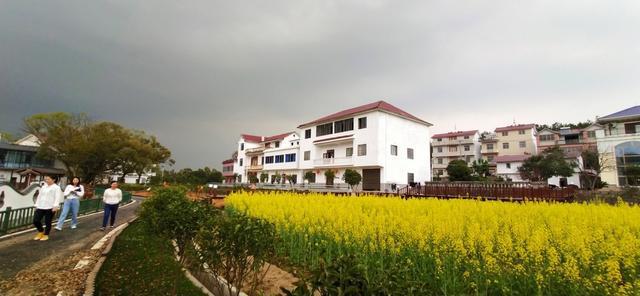 旅游农业助力乡村振兴安义县长埠镇着力打造旅游强镇品牌