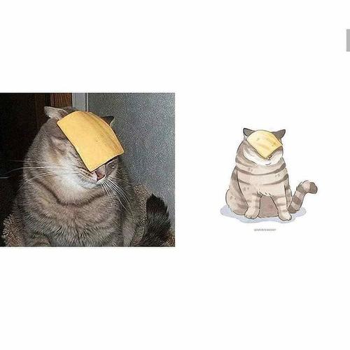 当沙雕猫咪遇上漫画,没想到这么可爱