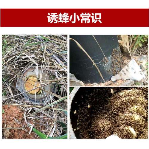 10升诱蜂桶黑色塑料桶诱蜂蜡野外收蜂捕蜂器诱蜂水野蜂专用收蜂笼