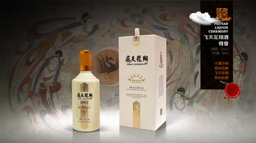 飞天龙翔系列