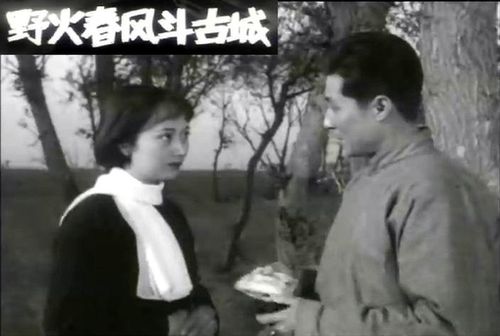 野火春风斗古城
