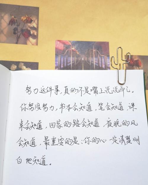 手写励志_情感_励志鸡汤