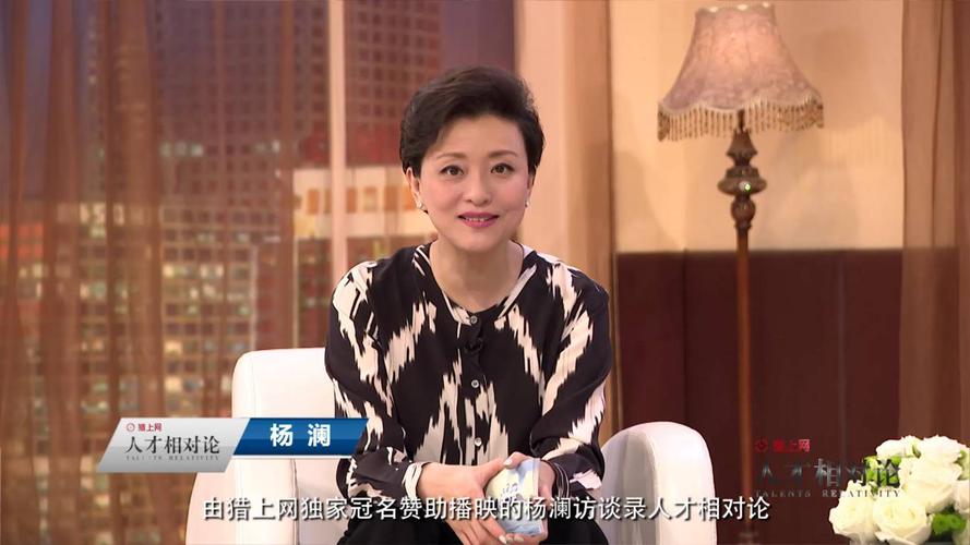 《杨澜访谈录》,但实际上是在打造"定制版"节目——"人才相对论"