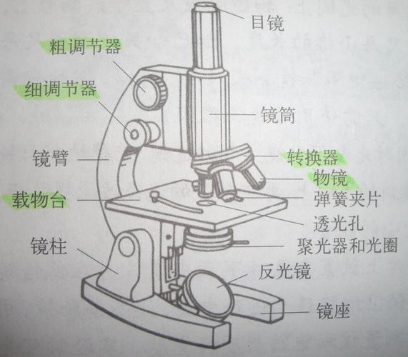 求高中初中显微镜相关知识