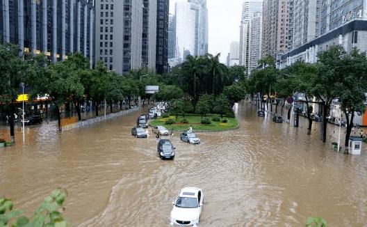 卫辉市绿化部门特别提醒广大群众,大风暴雨天气,机动车一定不要停放在