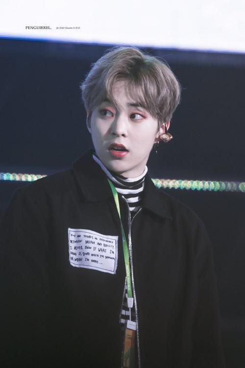 金珉锡190316exo自然乐园见面会