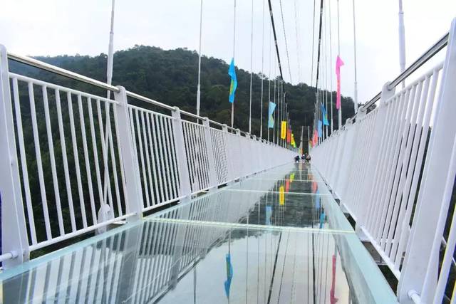 天露山云端玻璃桥 先看个视频自行感受一下~ 桥全长达 188米,横跨