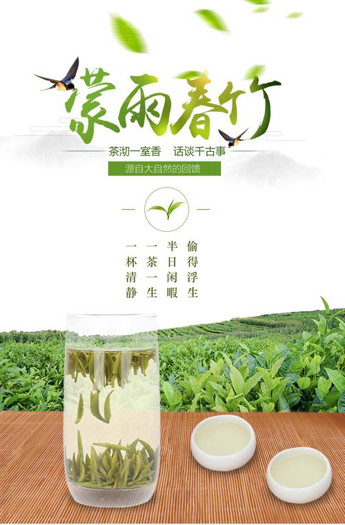 2020四川春茶蒙雨春竹蒙顶山雅安茶叶春竹