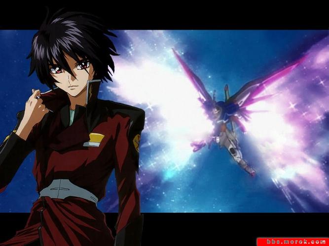 destiny同时又是真·飞鸟的专署机体. /p>