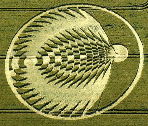 空蹊的相册麦田怪圈