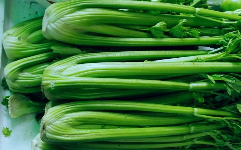 新鲜蔬菜 西芹 洋芹菜 西洋芹 大芹菜 1000g 江浙沪皖5件包邮