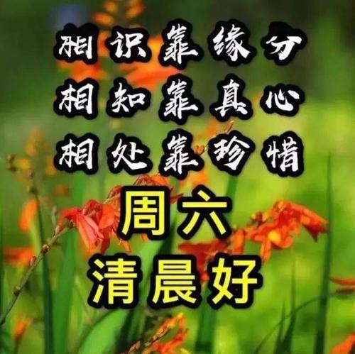 最新周六早上好表情包图片,请用1秒钟忘记烦恼,用1分钟享受快乐!