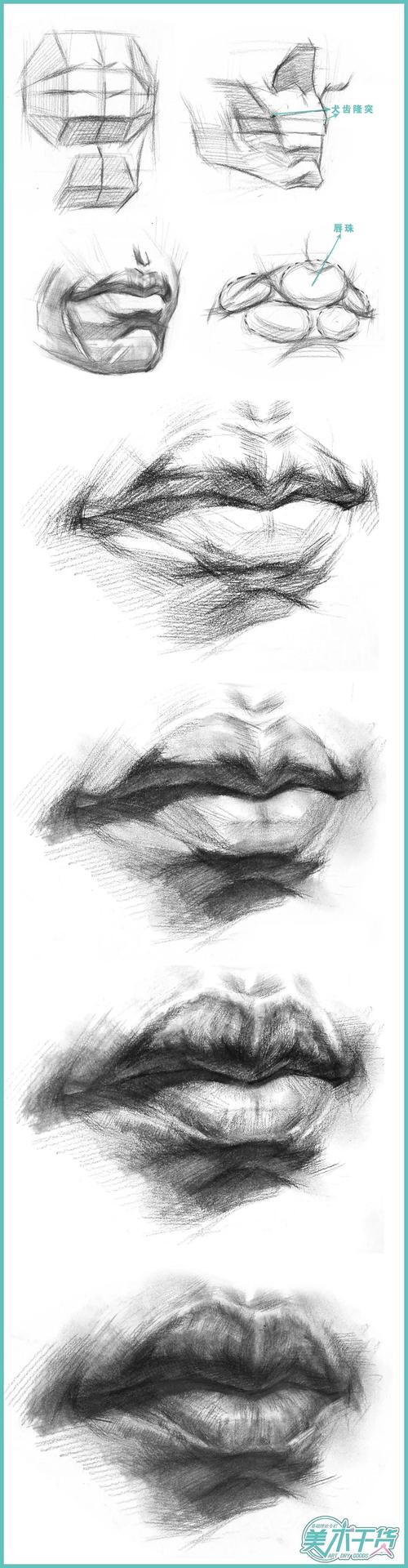 素描半身像想画好一张嘴你对嘴巴的结构足够清楚吗