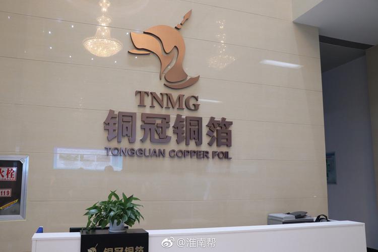 安徽铜冠铜箔有限公司由铜陵有色集团投资建设,总投资