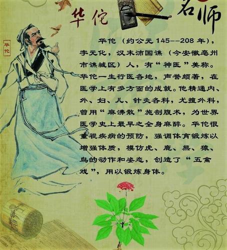 "外科鼻祖"华佗,研发麻沸散只是其一,这才是最大贡献