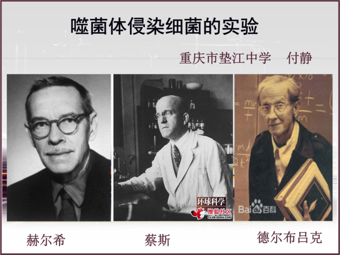 ppt 10页