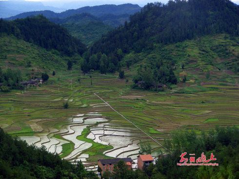 石柱县鱼池镇,原名鱼池坝.位于方斗山顶.千野草场位于境内.