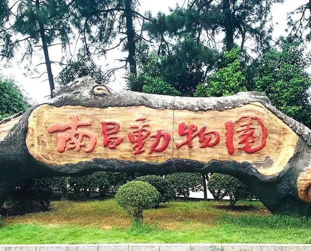 这个景区发布重要提示……|南昌动物园|海洋馆|指路牌_网易订阅