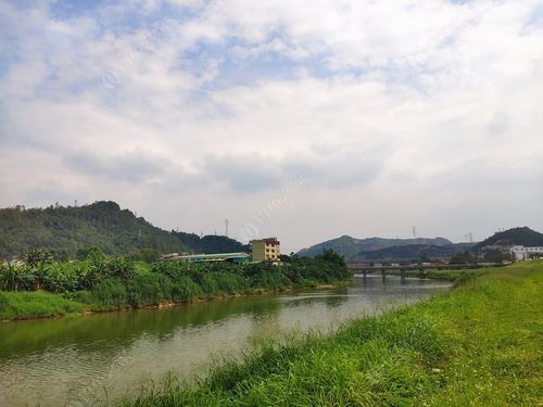 石马河