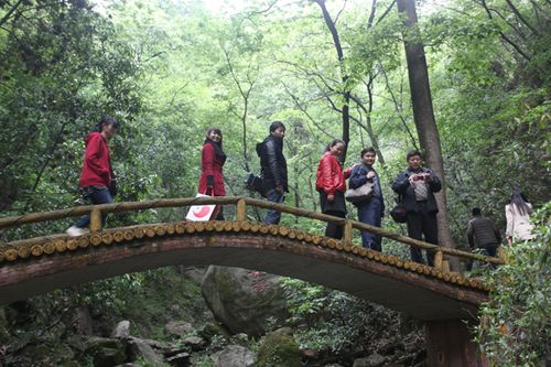 天然氧吧 信阳波尔登森林公园