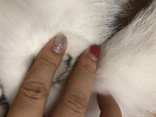 讨论蛋蛋发黑有图