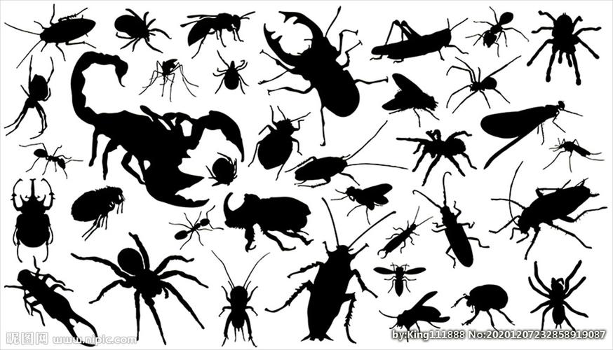 昆虫矢量剪影合集设计图__昆虫_生物世界_设计图库_昵