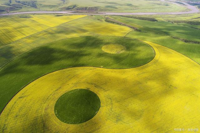 阴阳鱼太极图欣赏