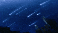 南金牛座流星雨