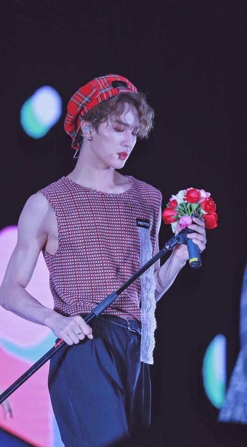 1/ 12 朱正廷在节目出道之后,随即参加了很多演唱会和音乐节.