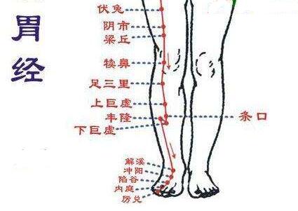 胃经——气滞胃胀,气郁血瘀,赶快通胃经