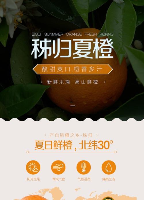 拓鲜堂 秭归脐橙 65-75mm大果 5斤