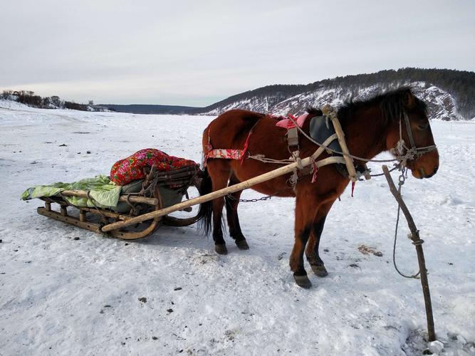 东北之旅(2019年1月3日一1月12日)
