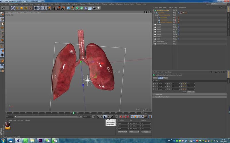 心脏(c4d fbx)_9下载(编号:3465813)_3d模型_vj师网 www.vjshi.com