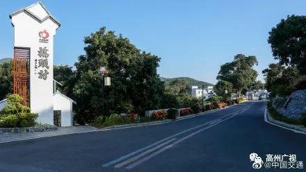 根子镇大唐荔乡景观大道参评"十大最美农村路"