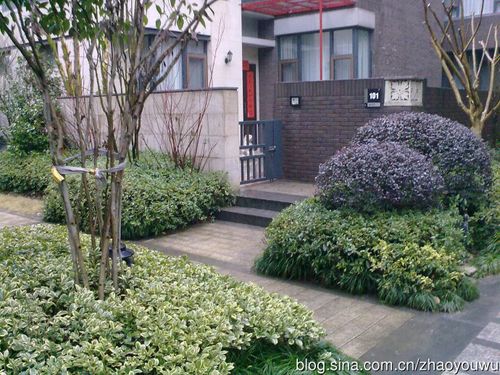 金地国际花园四(武汉)