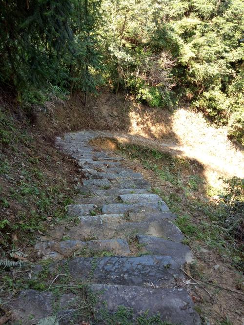 山路弯弯