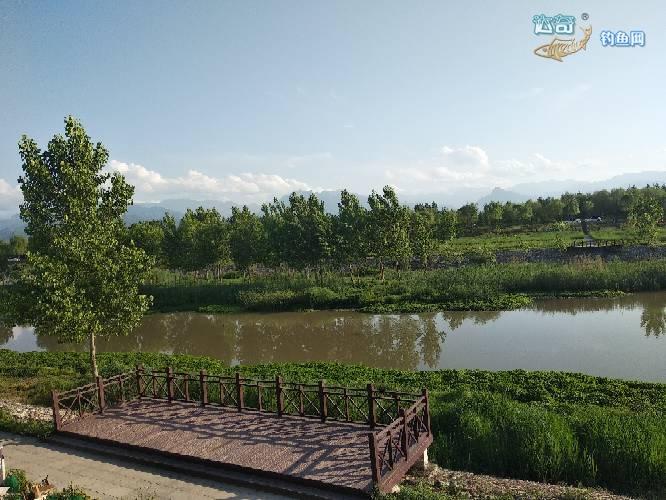 探寻西安洨河生态公园野钓之地 - 陕西,宁夏钓鱼网 达奇钓鱼论坛