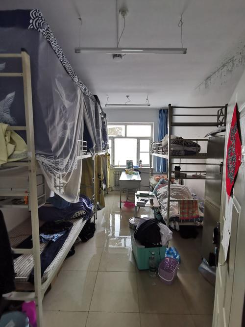 东北林业大学宿舍条件怎么样―宿舍图片内景
