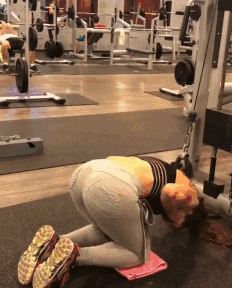 232_288gif 动态图 动图