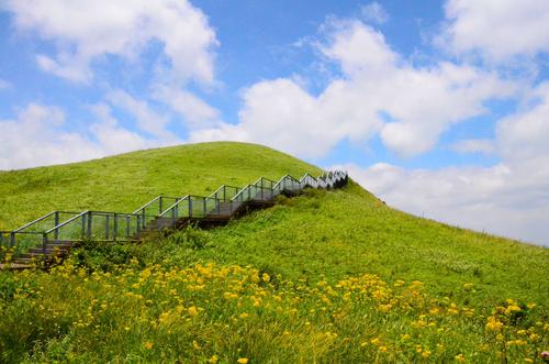 贵州赫章韭菜坪…天上花海景区风光(2020.7.23).