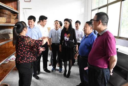 精准扶贫驻村调研:江西遂川高坪镇打造"四园一中心"脱贫模式