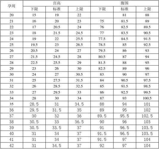 妊娠宫高与腹围