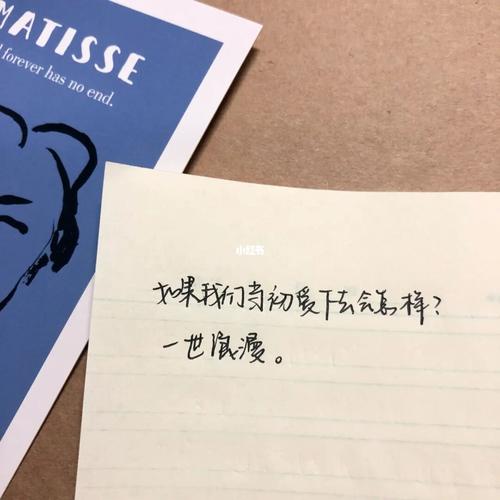 《假面》:——我喜欢你很久了. ——你不知道.