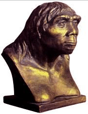 (d) a.陕西西安b.浙江河姆渡c.北京周口店d.