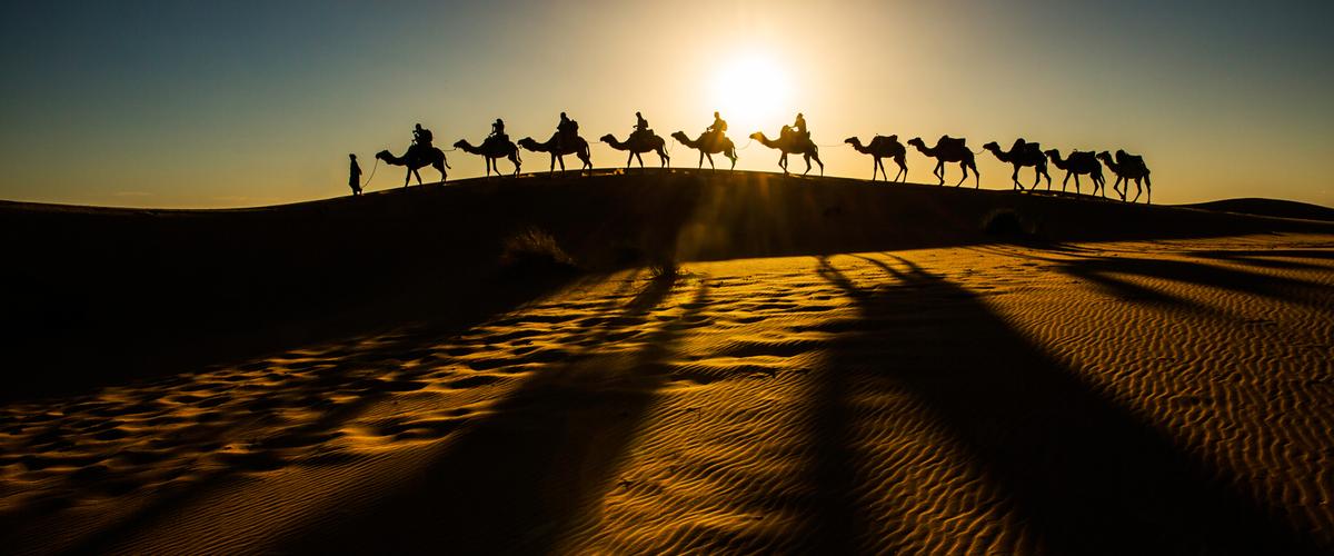 大漠敦煌作者秋酿醇酒