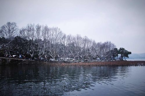 杭州雪景